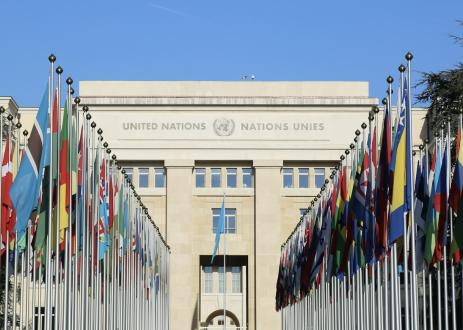 Country flags in front of UN in Geneva.