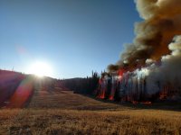 A controlled burn