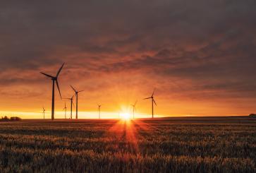 Wind turbines on grassy field at golden hour.