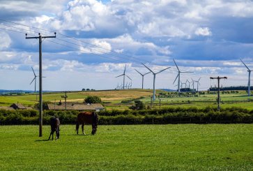 Horses graze in front of power lines and wind turbines.