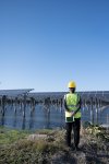 Worker overlooking solar panels in water.