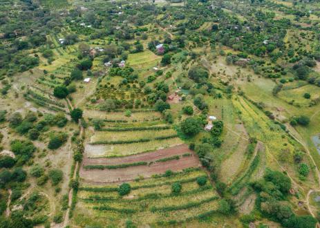 landscape in Africa