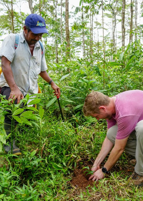 WRI instructor planting transported seedling in Costa Rica