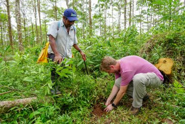 WRI instructor planting transported seedling in Costa Rica