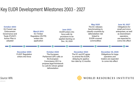 A timeline of EUDR development milestones 