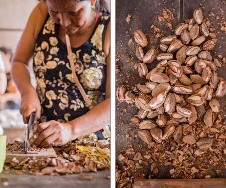 A Tikuna woman chops Brazil nuts at the local Tikuna market in Tabatinga, Brazil