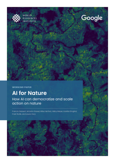 Cover image.