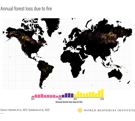 Annual forest loss due to fire.
