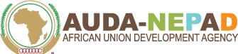 AUDA-NEPAD logo.