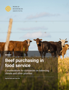 Cover image.