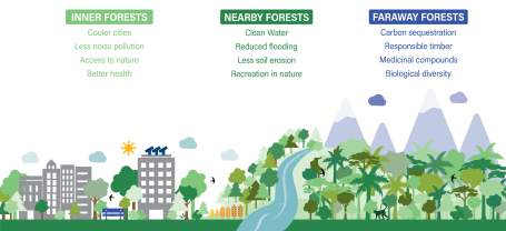 Graphic showing benefits of inner, nearby, and faraway forests in relation to cities.