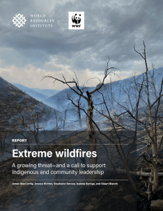 Cover image.
