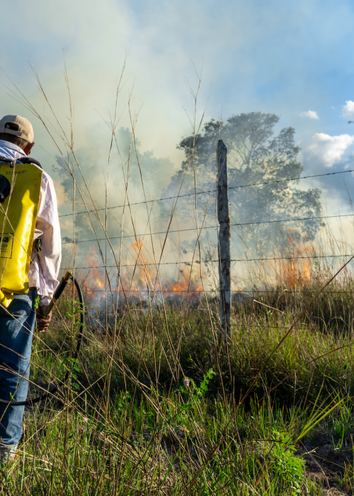 Man firefighting wildfire in grassland.
