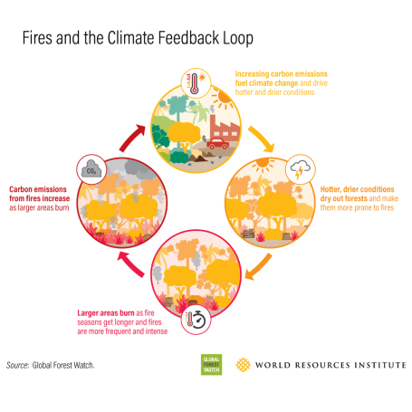 Fires and Climate Feedback Loop.