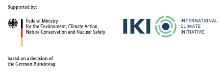 IKI logo.