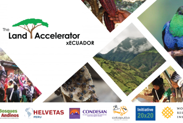 A banner promoting the Land Accelerator with a collage of reforestation activities