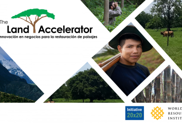 A banner promoting the Land Accelerator with a collage of reforestation activities