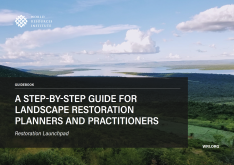Cover image.