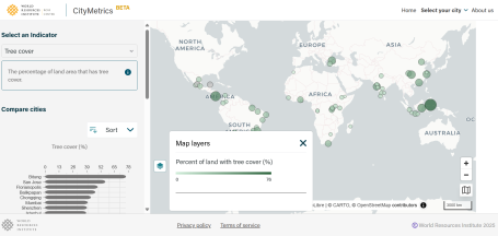 A screenshot of the CityMetrics dashboard showing the tree cover indicator.