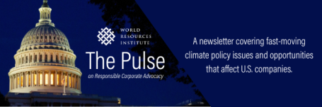 The Pulse newsletter graphic.