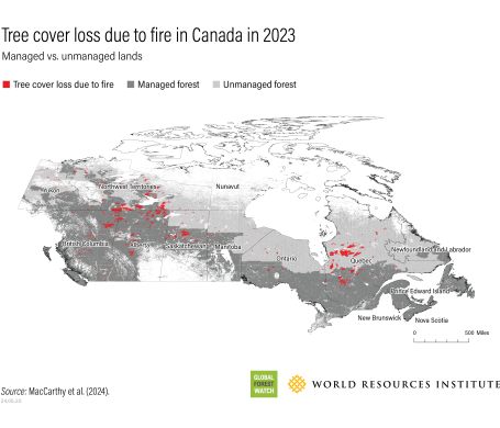 Map showing Tree cover loss due to fire in Canada in 2023.
