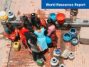 WRR:  Water Working Paper on Cities